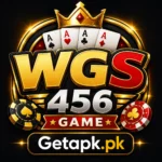 WGS456 Game