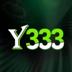 Y333 Game